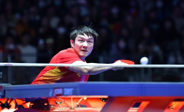 近年来备受 近年来备受