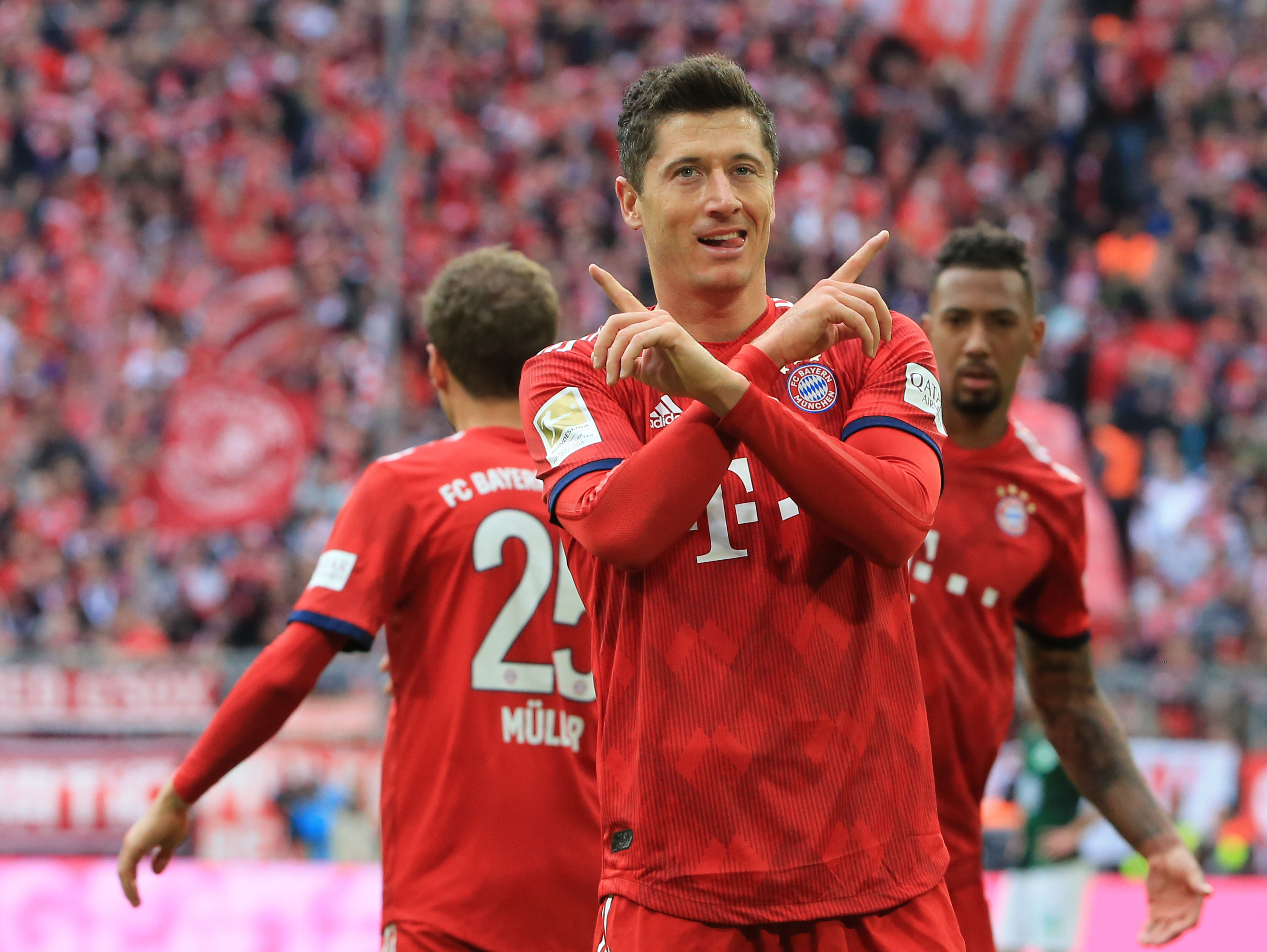 他的表现体 他的表现体