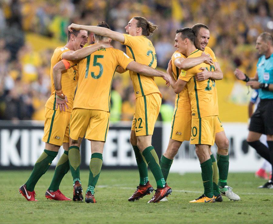 培养模式 培养模式